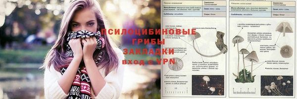 синтетический гашиш Алексин