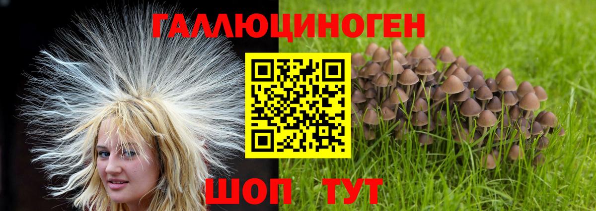 Галлюциногенные грибы ЛСД Евпатория