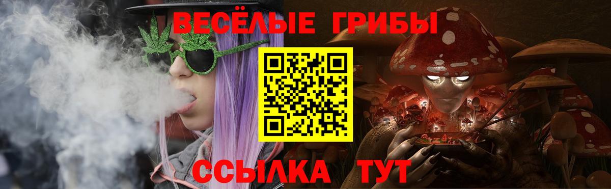 Евпатория  Псилоцибиновые грибы MAGIC MUSHROOMS  Вход с VPN 